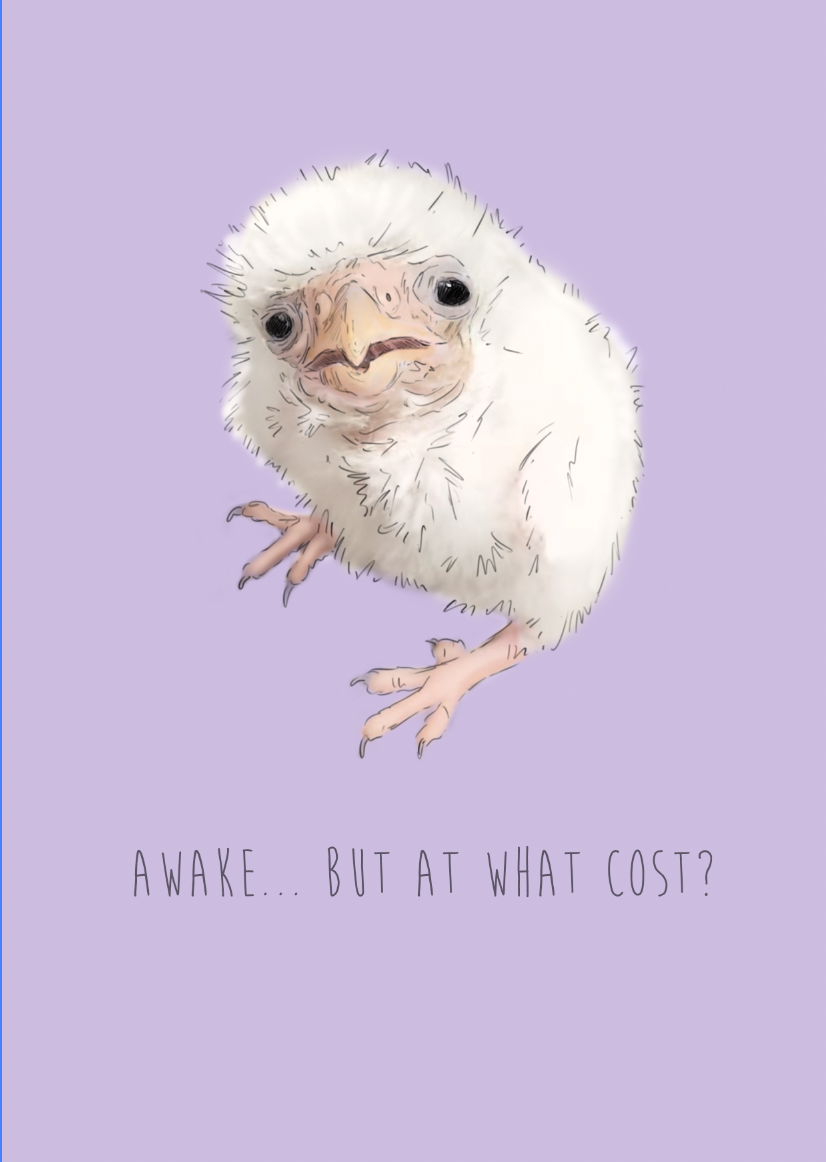 Awake... But at What Cost? greetings card | funny Card | Pygmy Falcon card | For Him | For Her | Grumpy animal | cute Animal card | funny animal card (Copy)