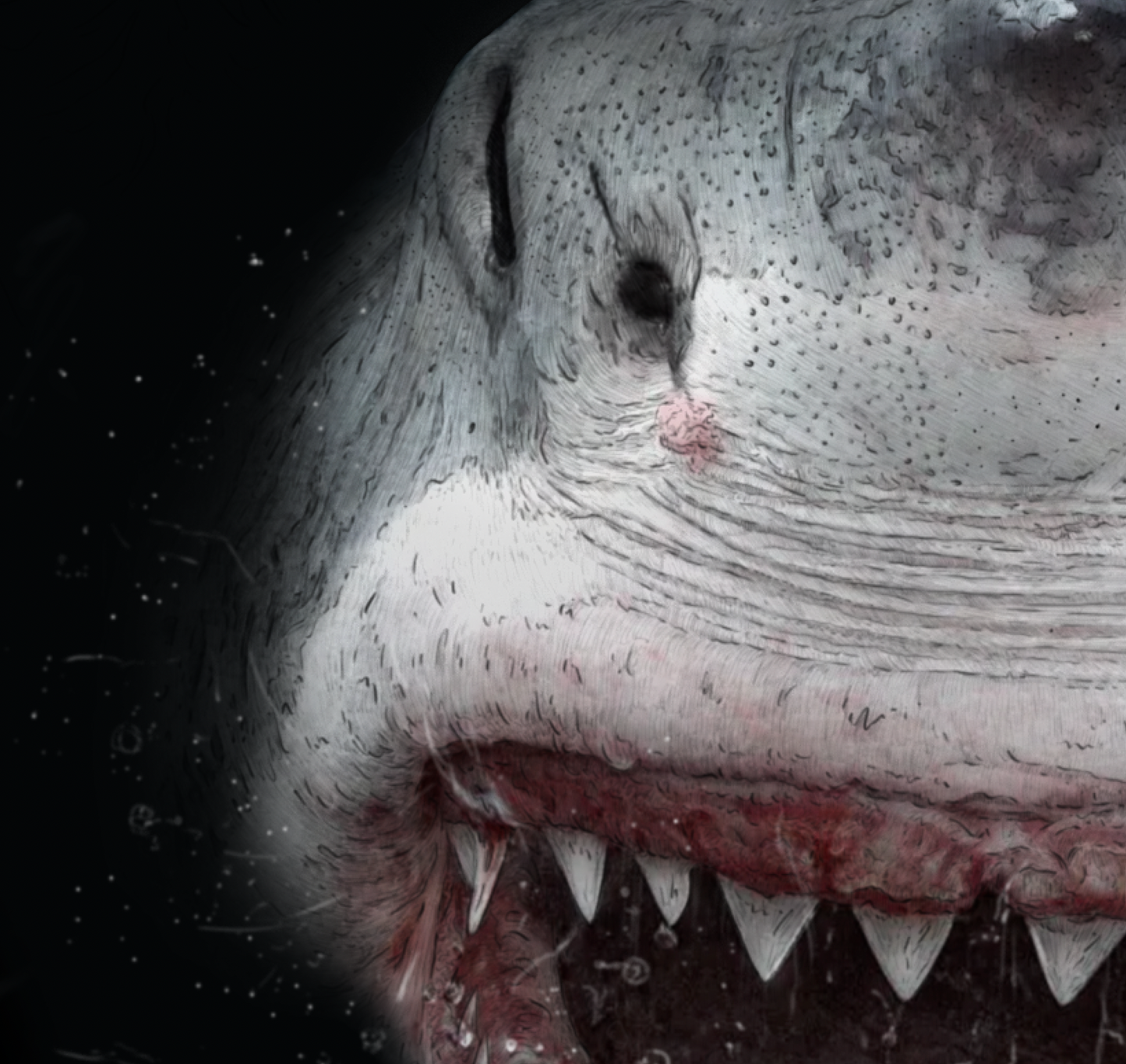 Great White Shark Print | Shark Print | Jaws | Bruce Print