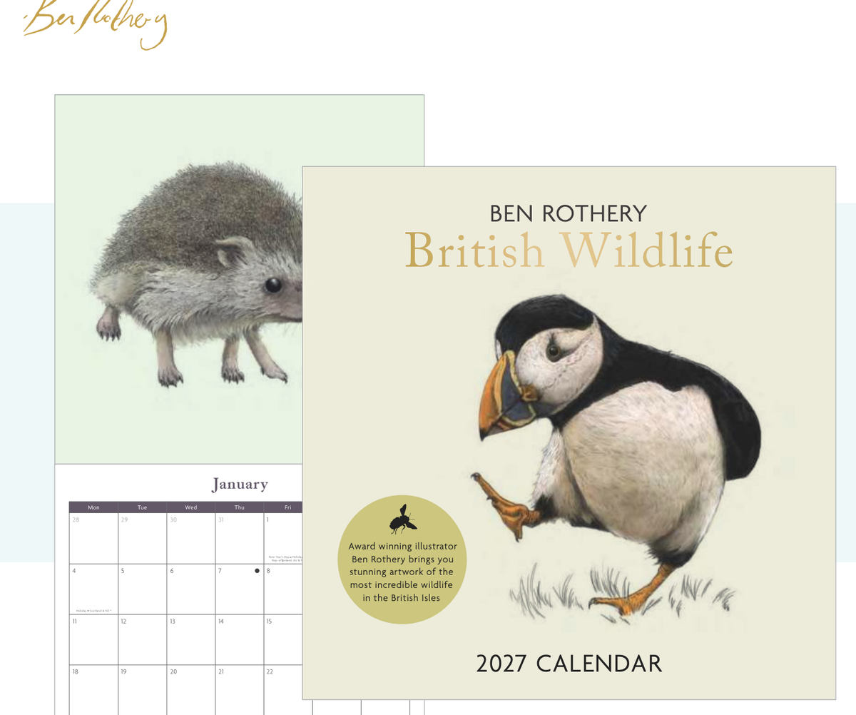 Limited edition - SQUARE 2027 Wall Calendar | Square Wall Calendar | British Wildlife Calendar