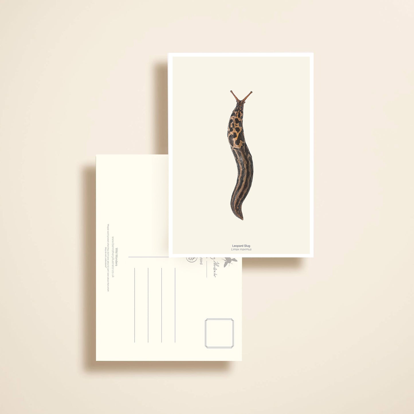 Wild Wonders - NEW BOOK - Preorder.