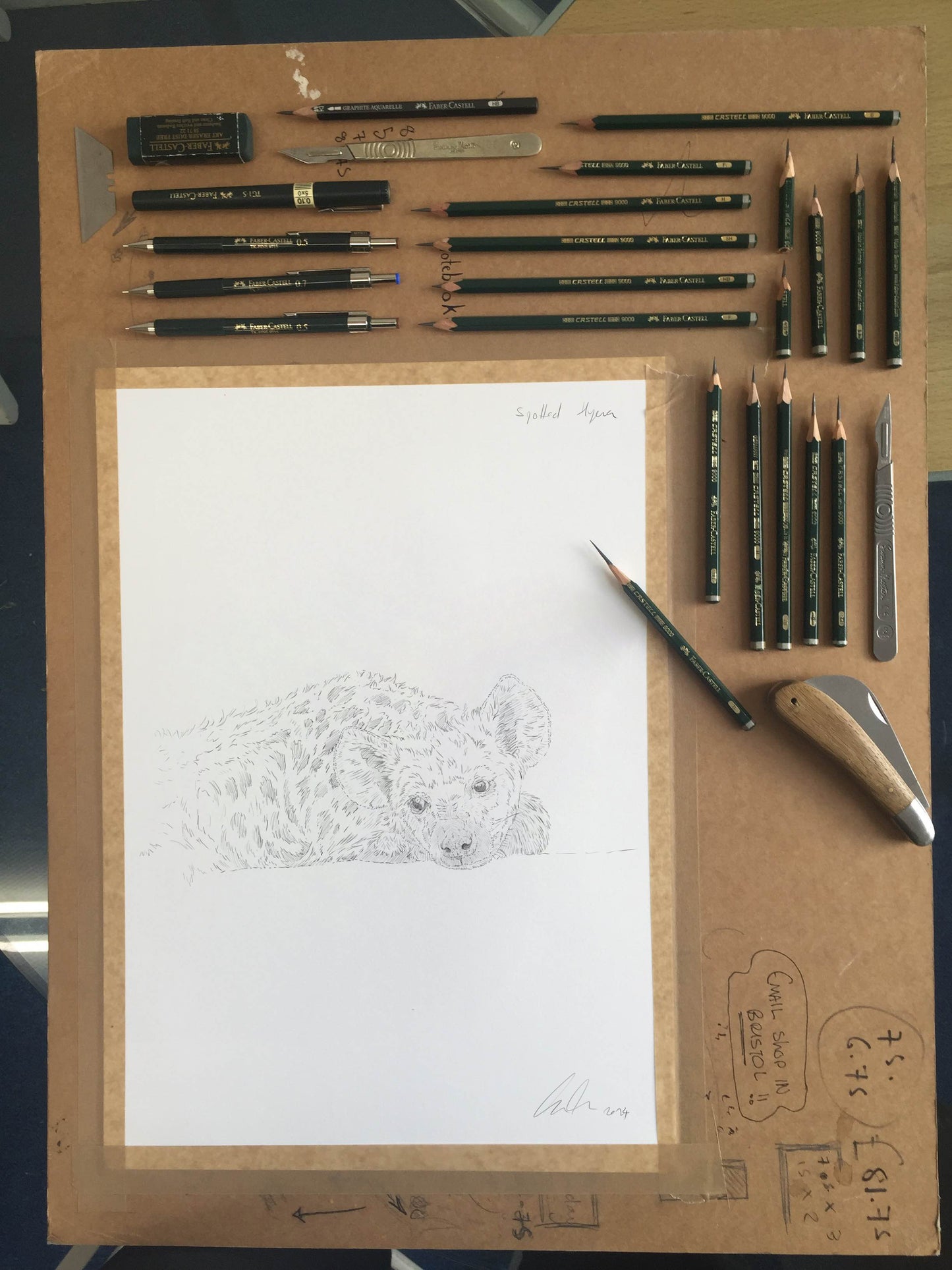 Spotted Hyena Sketch