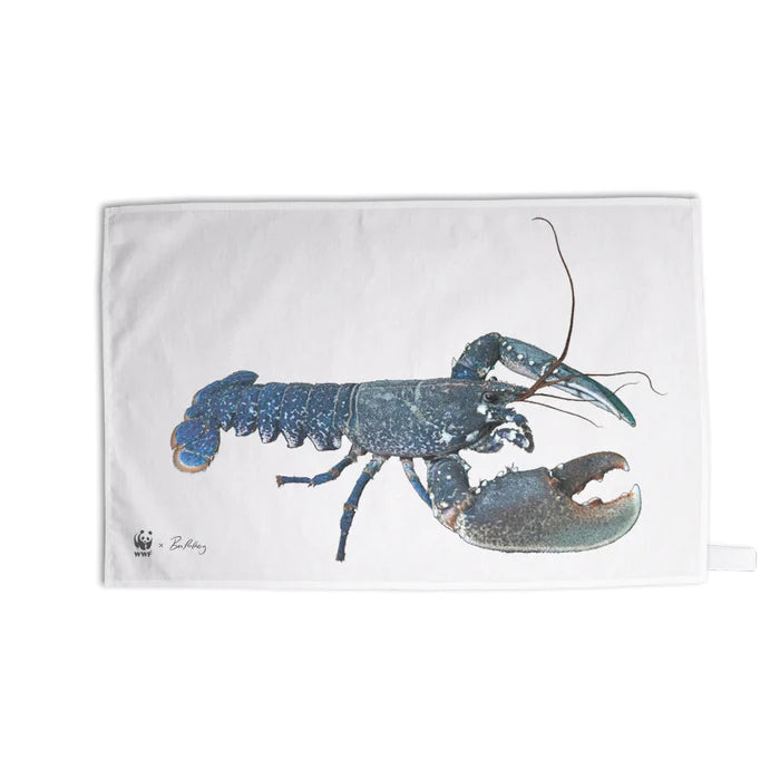 WWF x Ben Rothery 'Sea' Towels (Tea Towel) Set