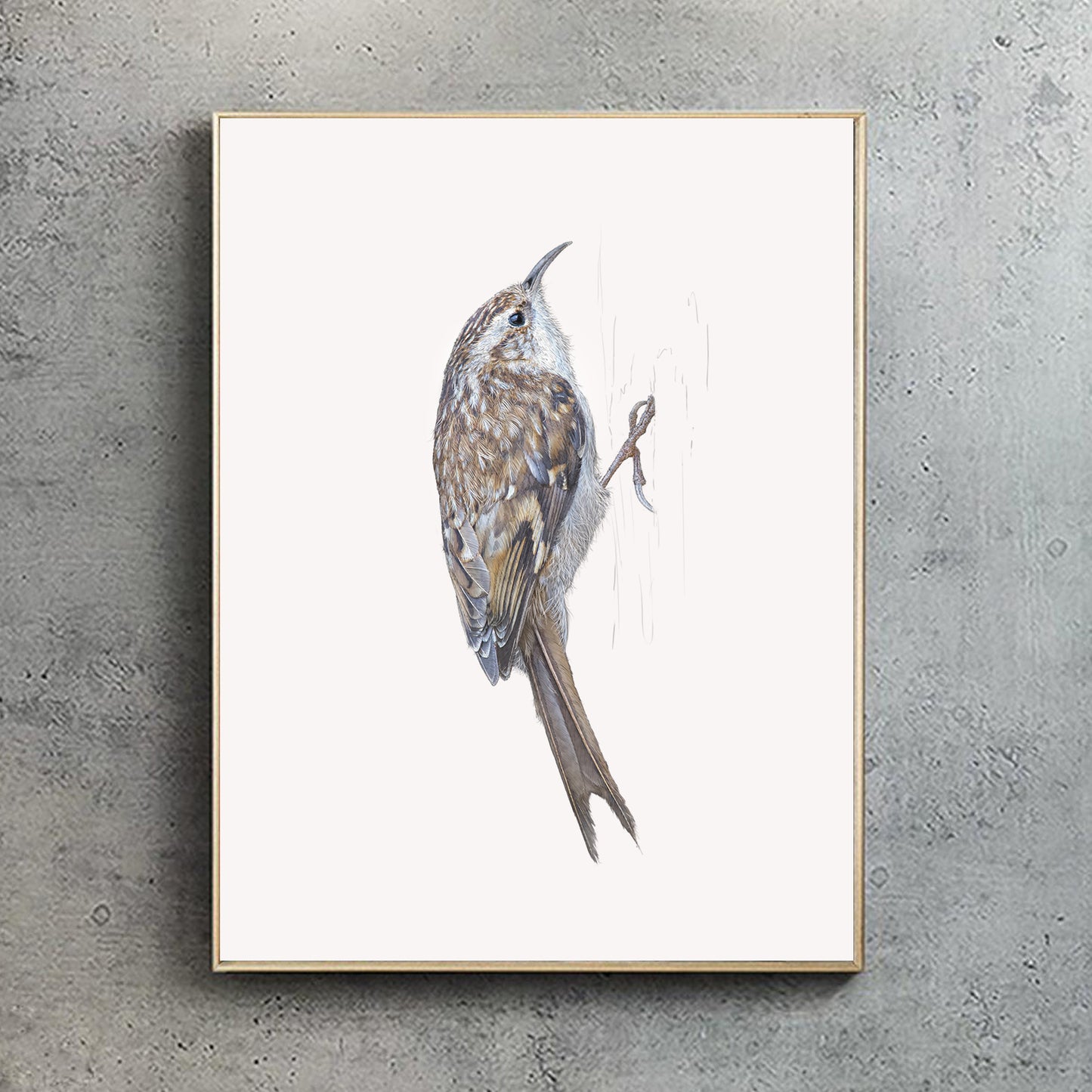 Treecreeper print | British bird print | Songbird print
