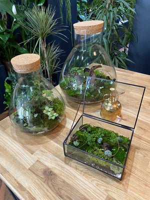 Bioactive Terrarium Workshop, Know and Love, 8th February 2024