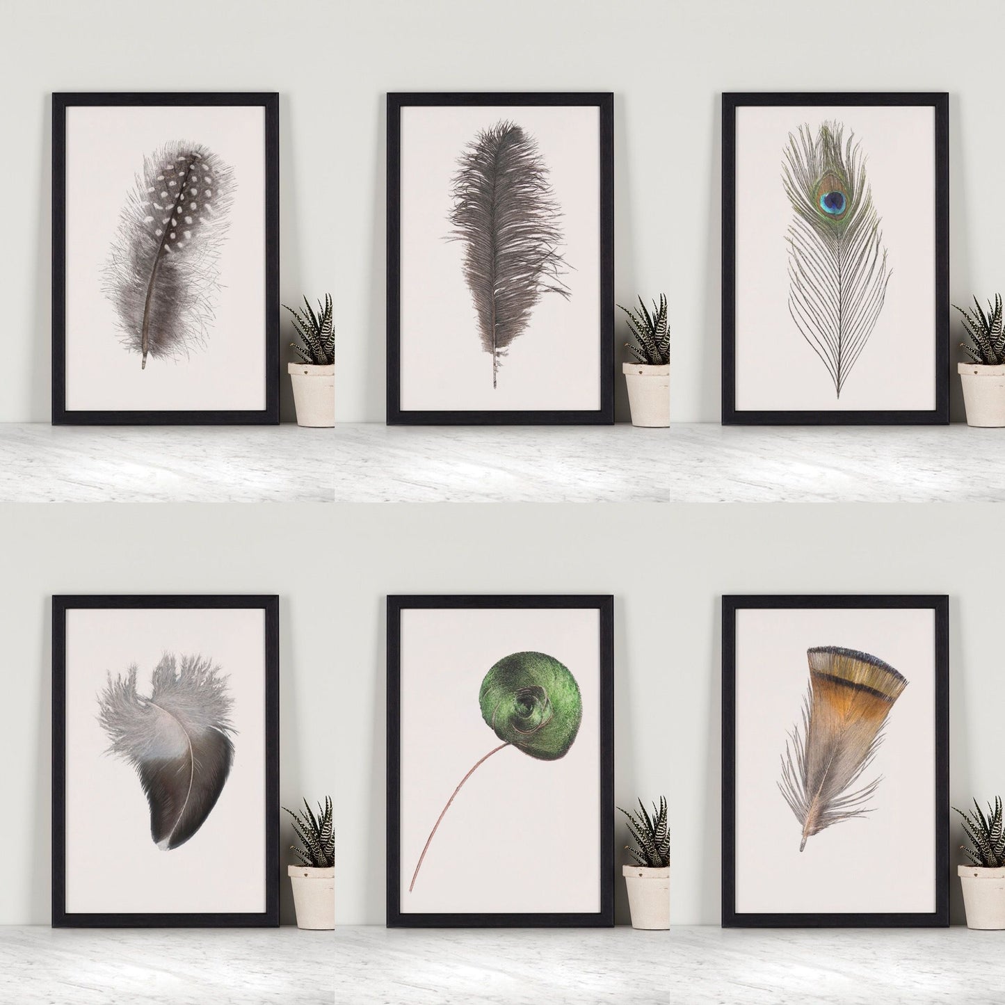 Helmeted Guieafowl Feather Mini Print