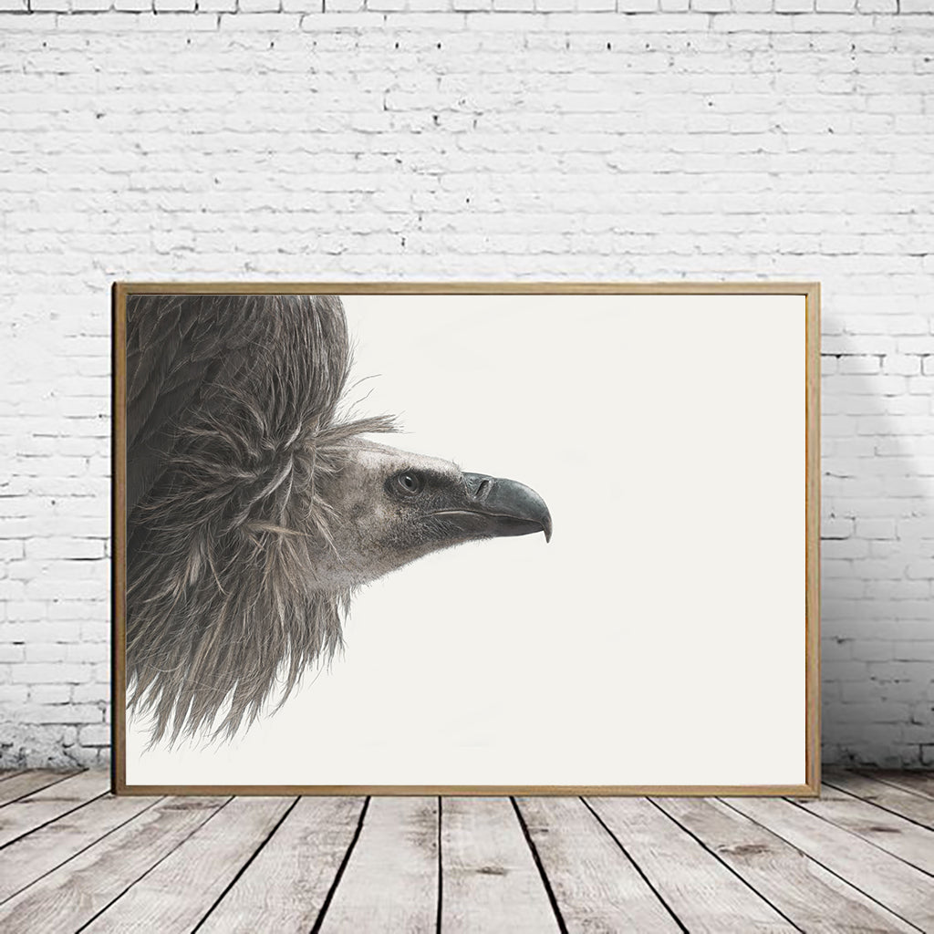 White Backed Vulture Charity Art Print