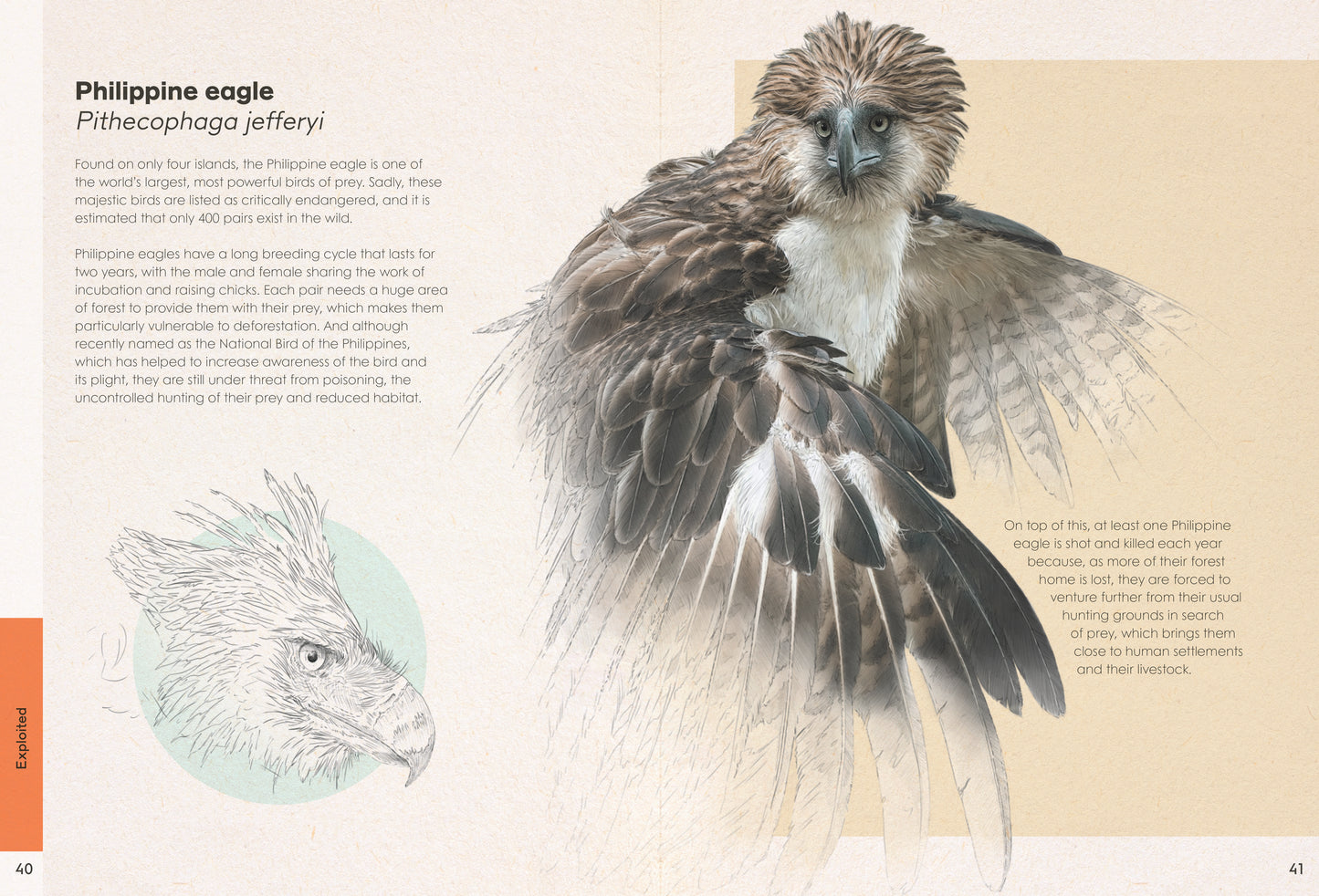 Wild Wonders - NEW BOOK - Preorder!