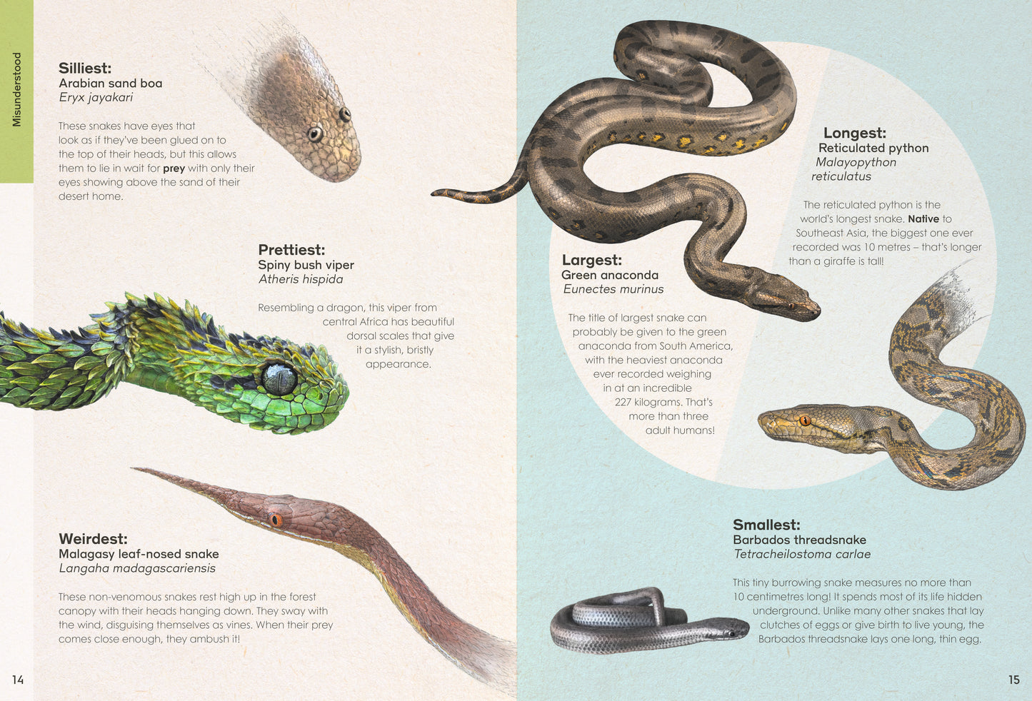 Wild Wonders - NEW BOOK - Preorder!