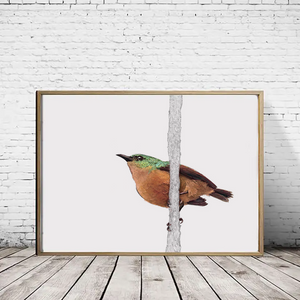 Sunbird Landscape