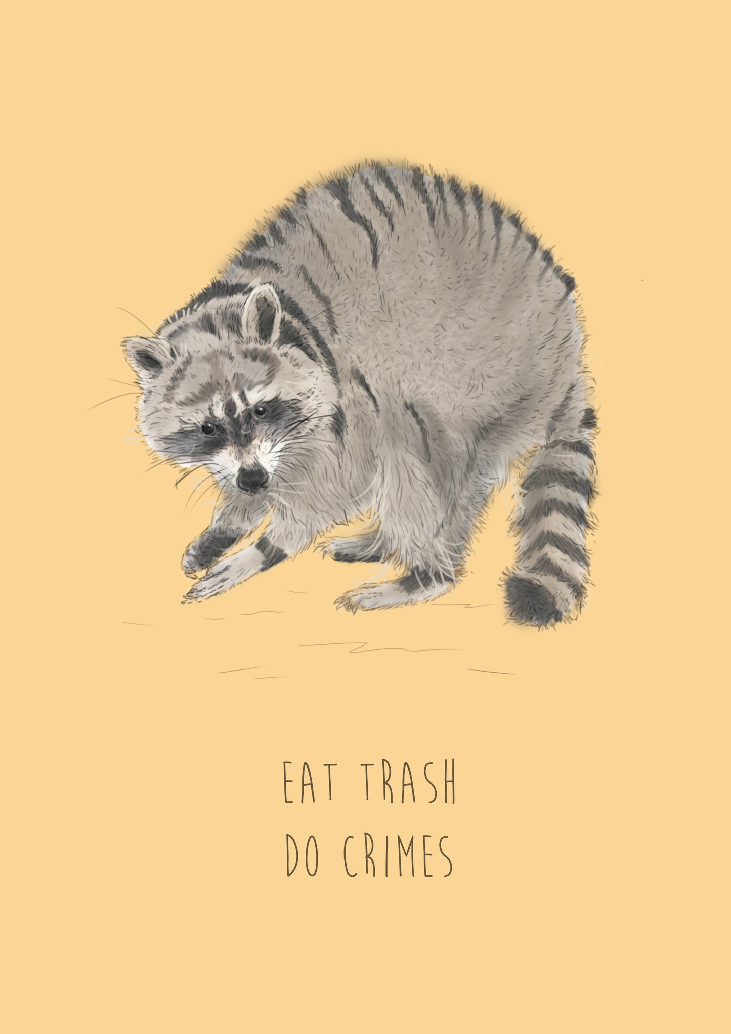 Eat Trash Do Crimes greetings card | funny Card | Raccoon card | For Him | For Her | Grumpy animal | cute Animal card | funny animal card | Funny Raccoon card