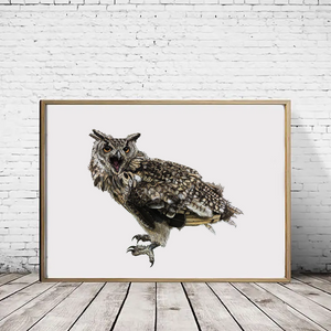 African Eagle Owl