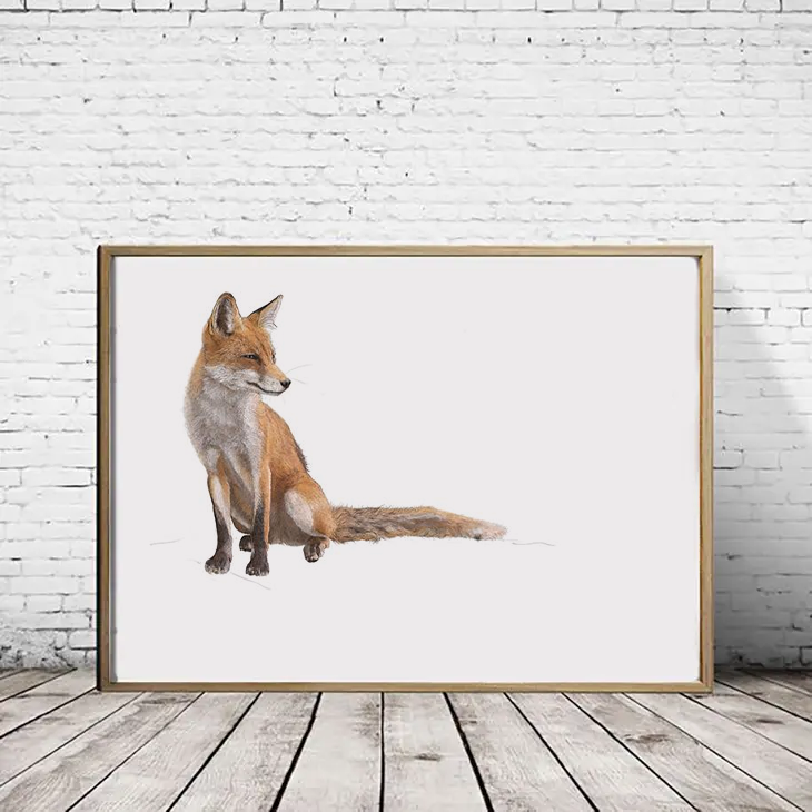 Red Fox