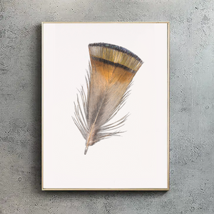 Golden Pheasant Feather Mini Print