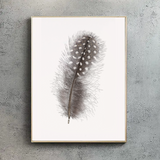 Helmeted Guieafowl Feather Mini Print