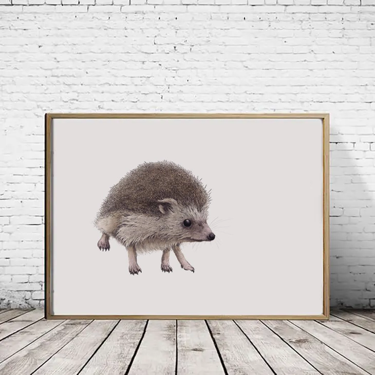 Hedgehog