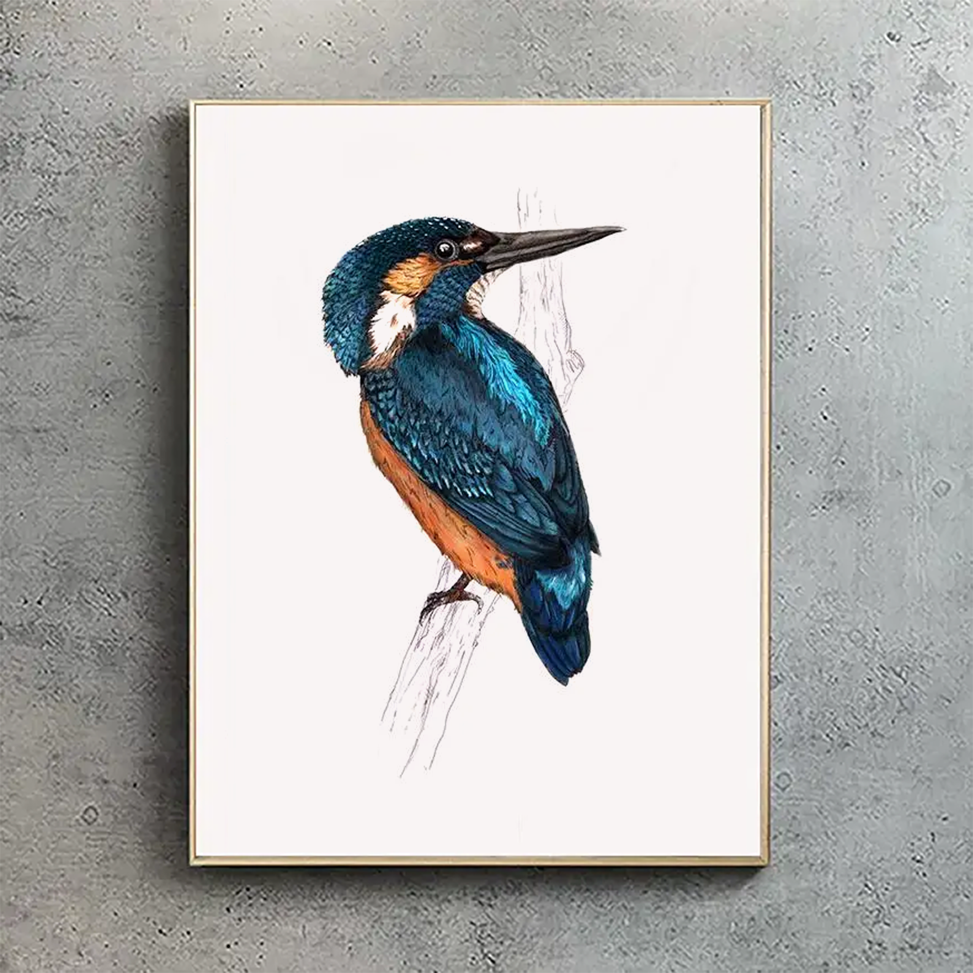 Kingfisher