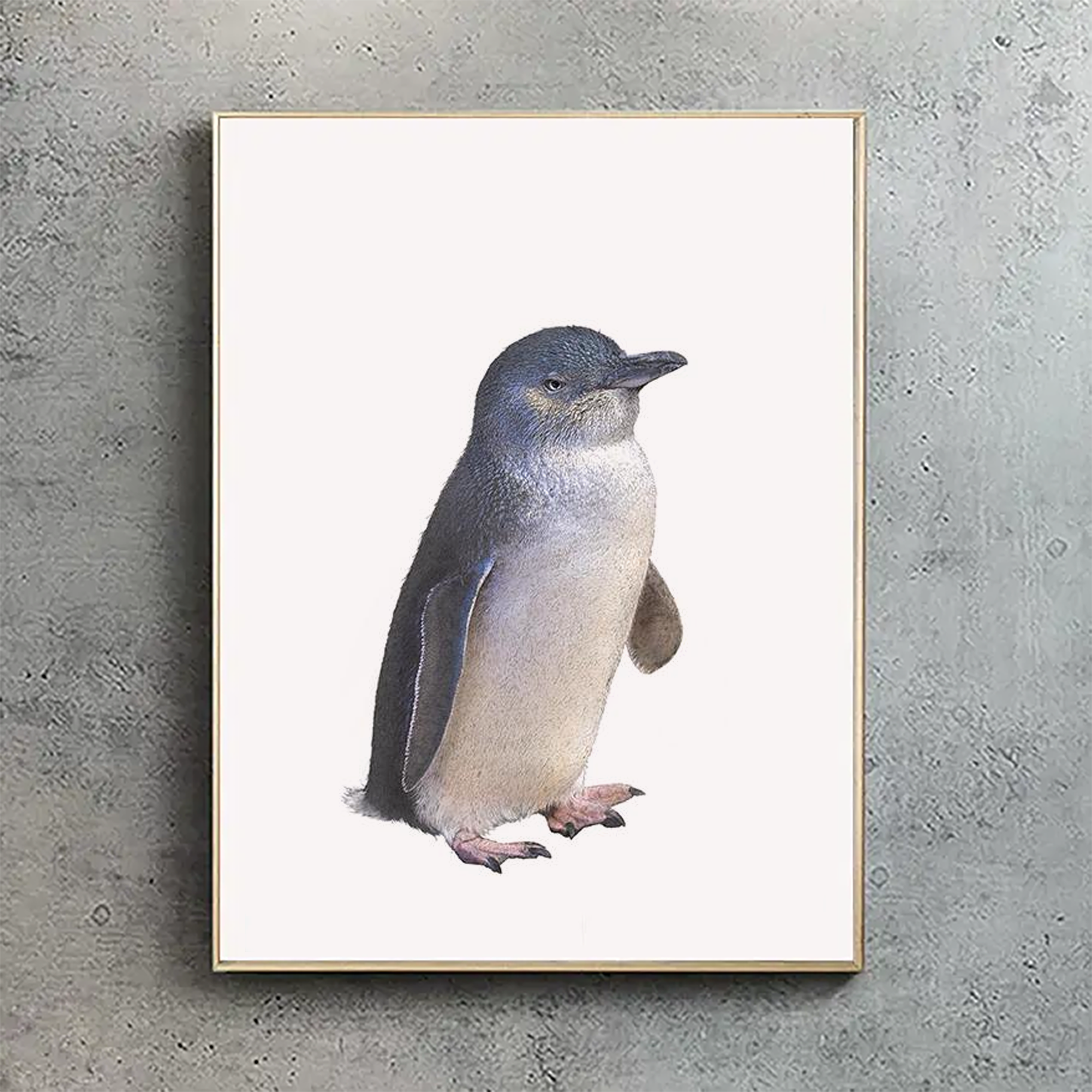 Little Penguin