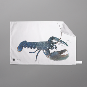 WWF x Ben Rothery 'Sea' Towels (Tea Towel) - European Lobster