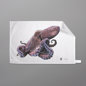WWF x Ben Rothery 'Sea' Towels (Tea Towel) - Common Octopus