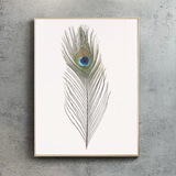 Peacock Feather Mini Print