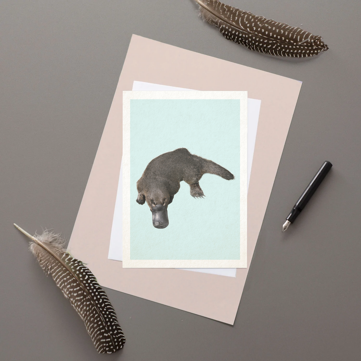 Platypus - Greeting Card - Reduced to Clear