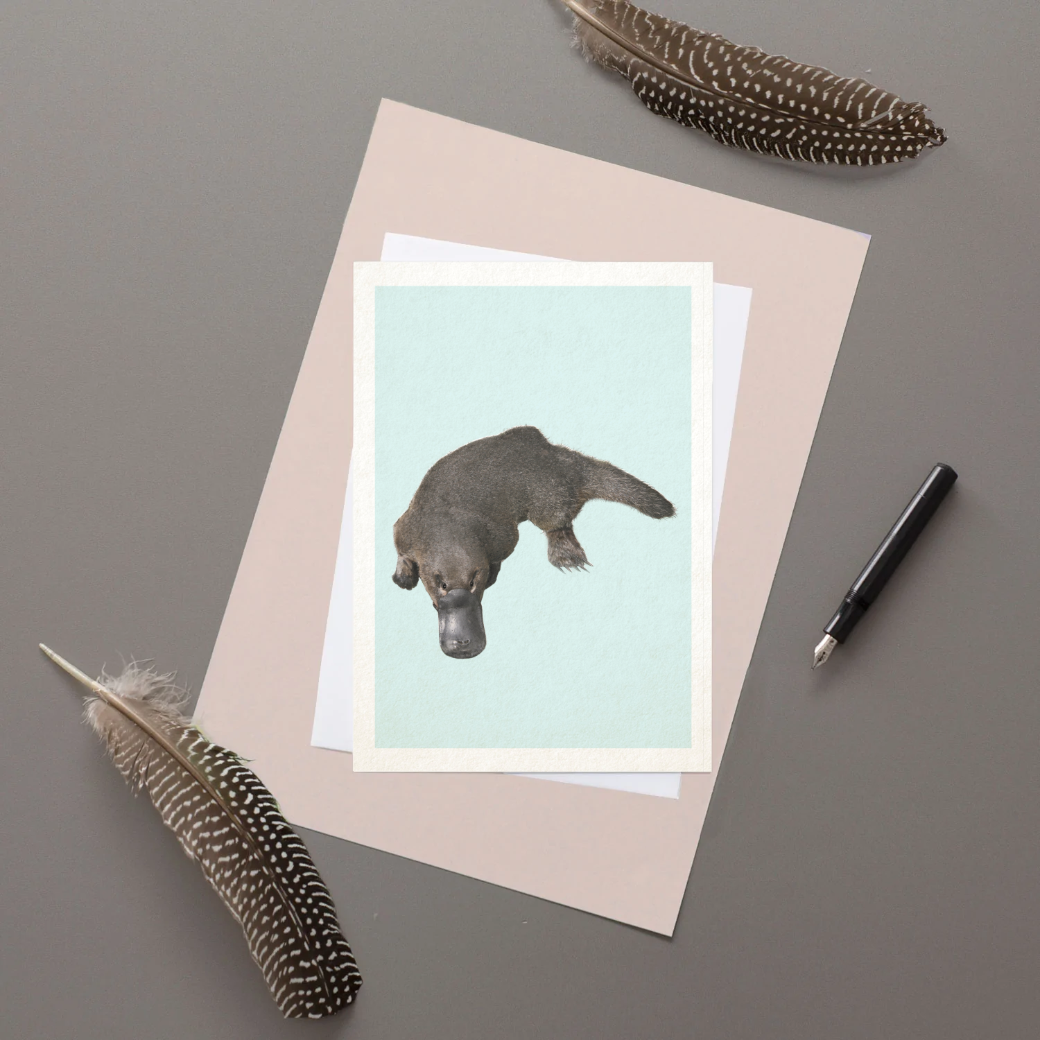 Platypus - Greeting Card