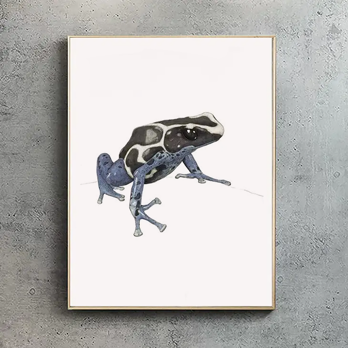 Dyeing Poison Dart Frog portrait - Wildlife Print | Hidden Planet