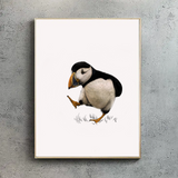 Atlantic Puffin Portrait