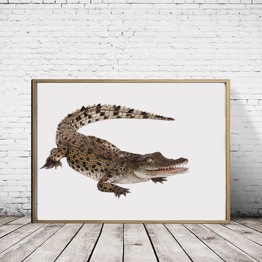 Baby Saltwater Crocodile print  - Reduced to clear