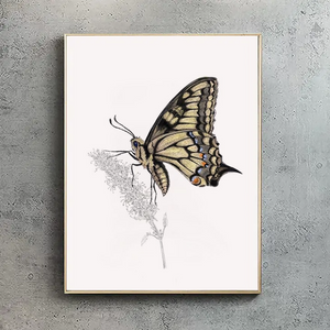 Swallowtail Butterfly 2