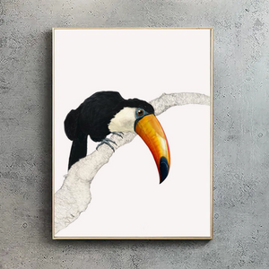 Toco Toucan I