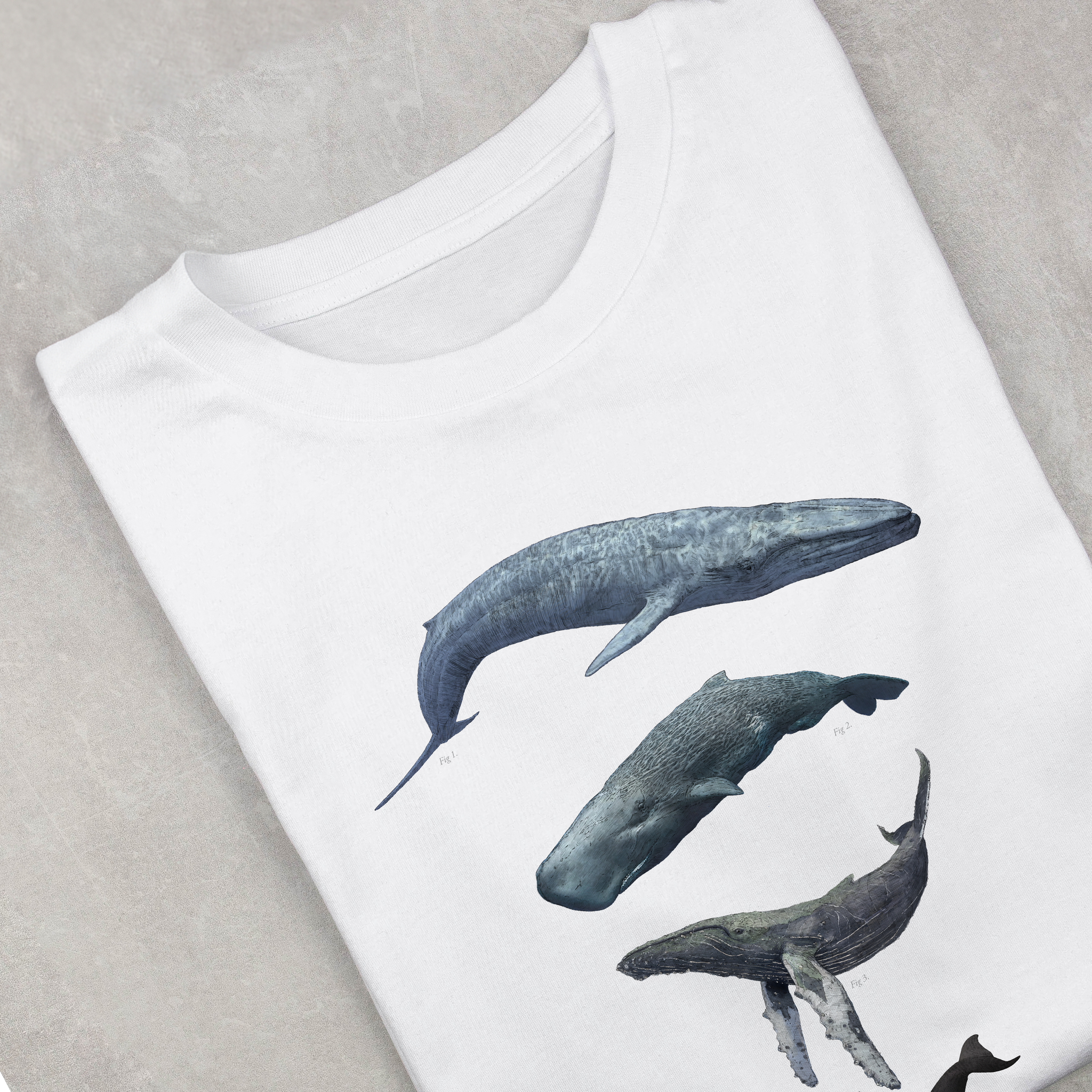 WWF x Ben Rothery T-shirts - Whales