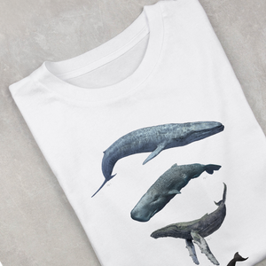 WWF x Ben Rothery T-shirts - Whales