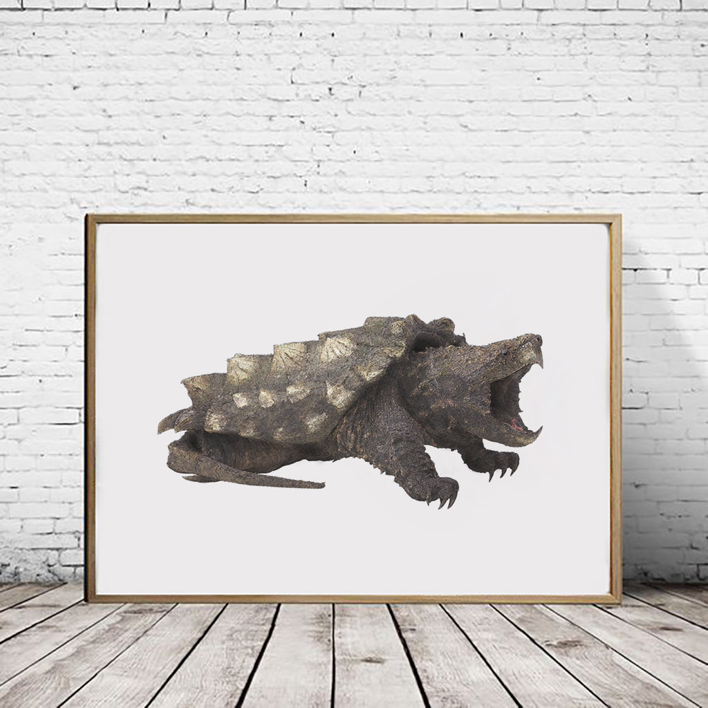 Snapping Turtle Art Alligator Snapping Turtle Color Design Painting