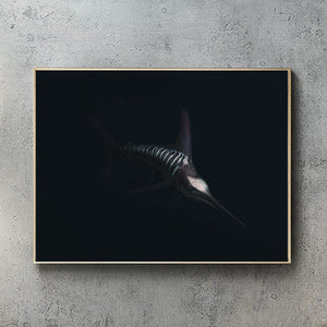 Striped Marlin Black edition