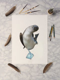 Blue Footed Booby