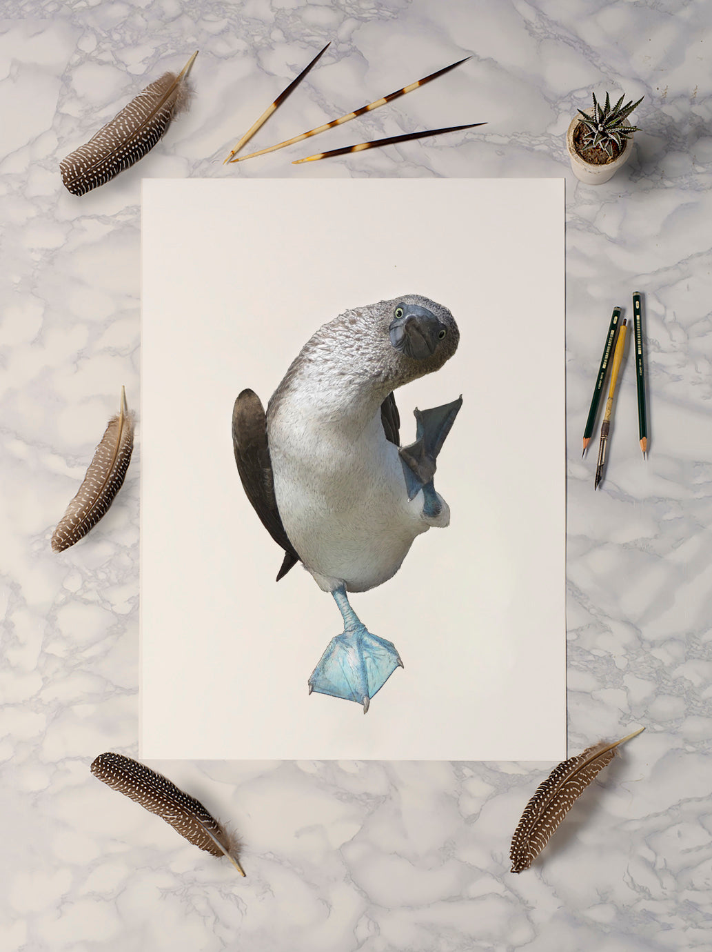 I Love Boobies Blue Footed Boobie Bird Mousepad