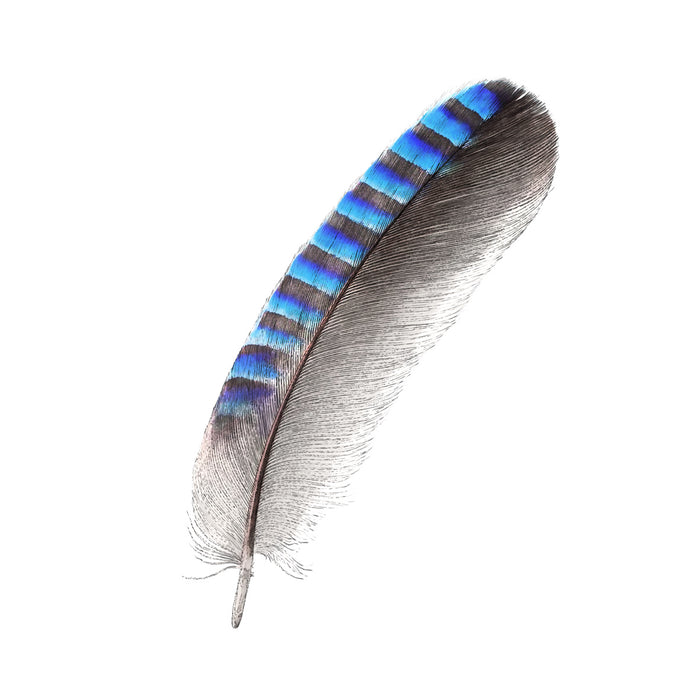 How to draw a feather
