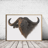 Cape Buffalo