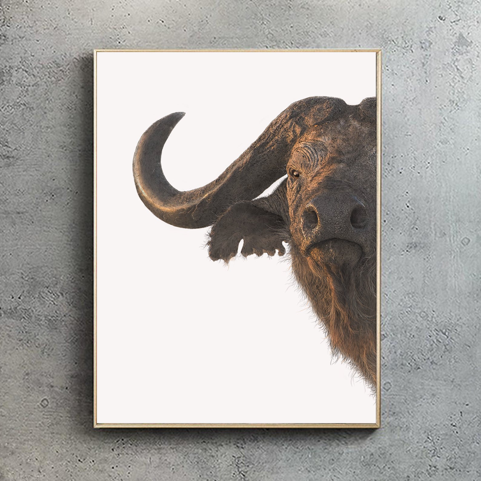 Cape Buffalo