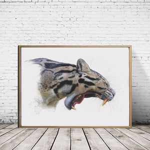 Clouded Leopard Roar