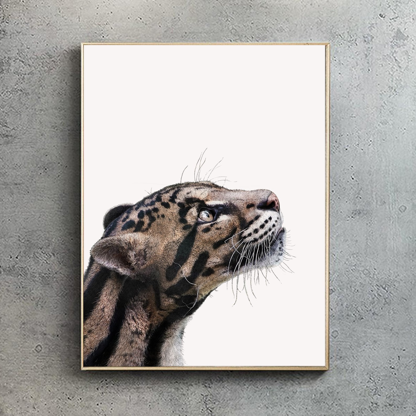 Clouded Leopard Portrait