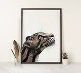 Clouded Leopard Portrait