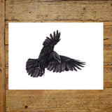 Crow