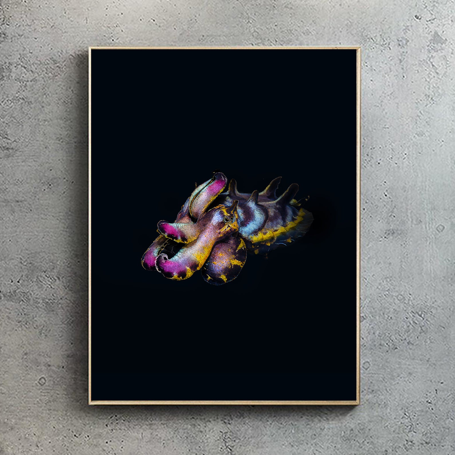 Flamboyant Cuttlefish - Wildlife Print | Hidden Planet – Ben Rothery
