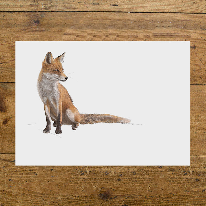 Red Fox