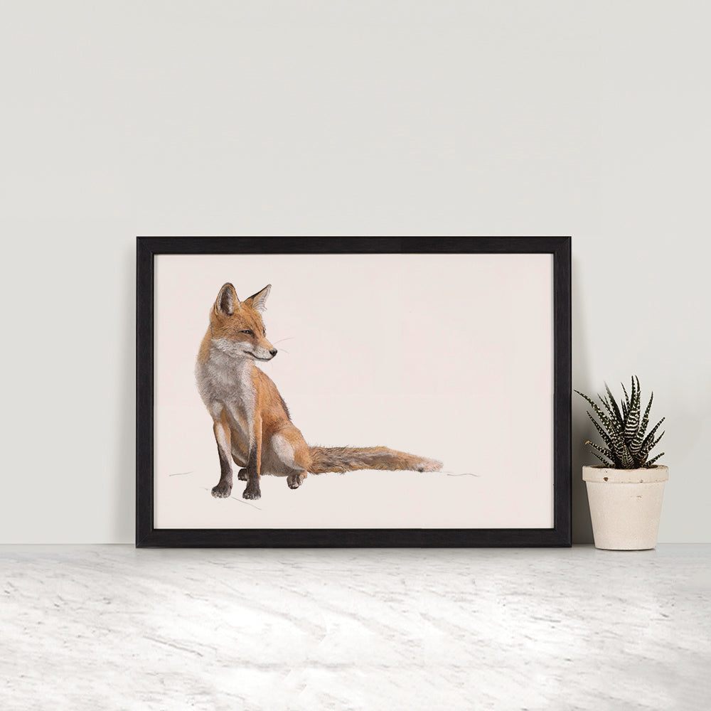Red Fox