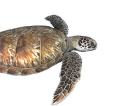 Green Sea Turtle