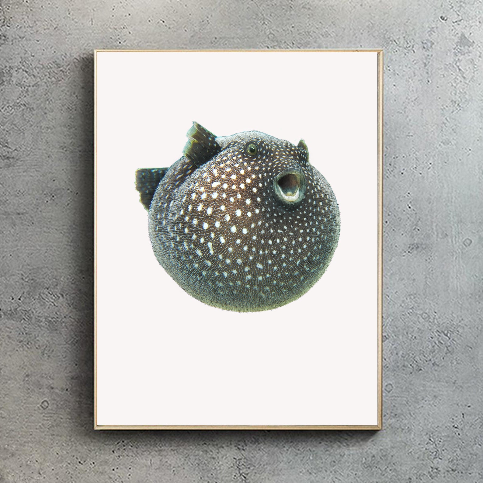 Guineafowl Pufferfish