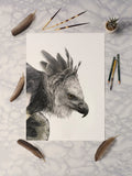 Harpy Eagle II